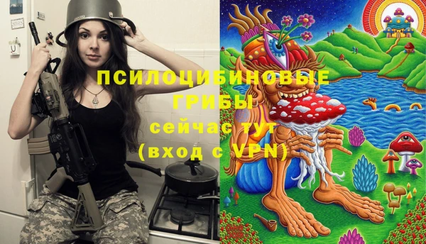 a pvp Магас