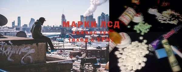 a pvp Магас
