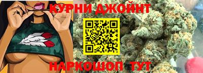 гидра Гатчина