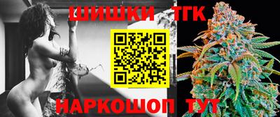 гидра Гатчина