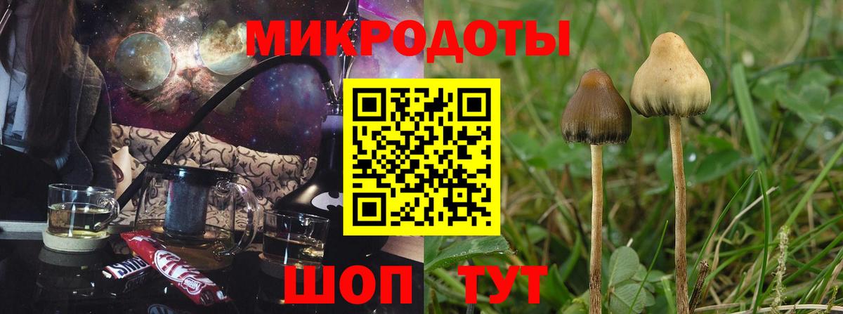 как найти закладки  Псилоцибиновые грибы Psilocybe  Вход с VPN  Пушкино  Галлюциногенные грибы Psilocybine cubensis 